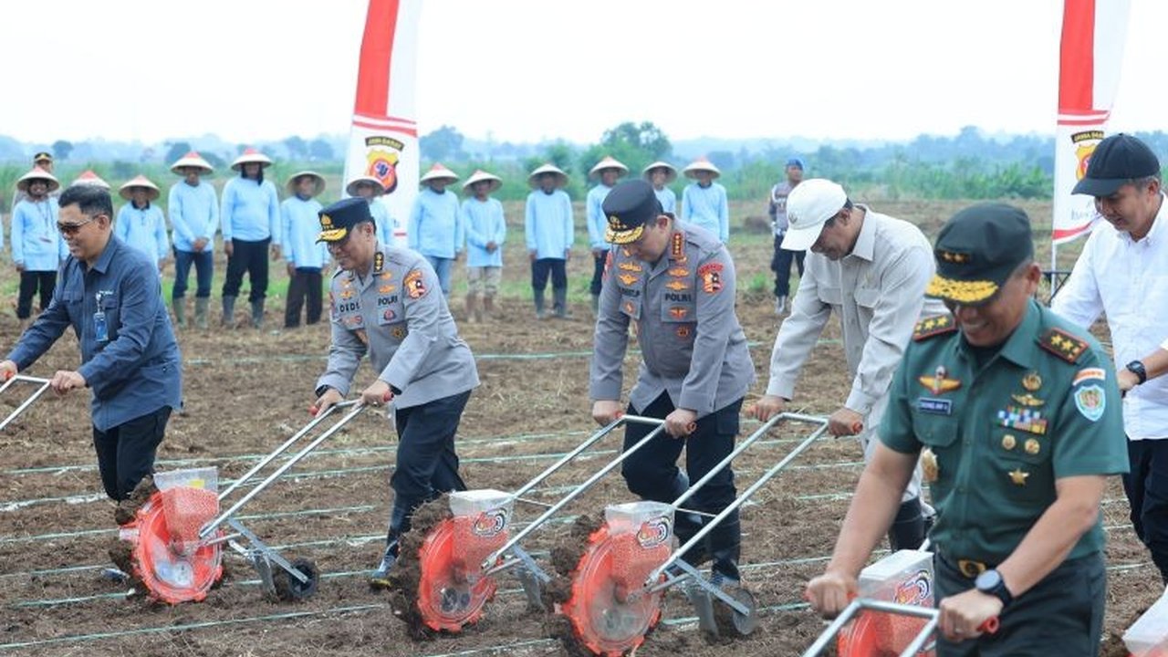 Polri menargetkan penanaman jagung seluas 1 juta hektare dalam setahun untuk mendukung swasembada pangan 2025, dengan berbagai inovasi di Jawa Timur dan Kalimantan Barat yang meningkatkan produktivitas dan ekonomi desa.