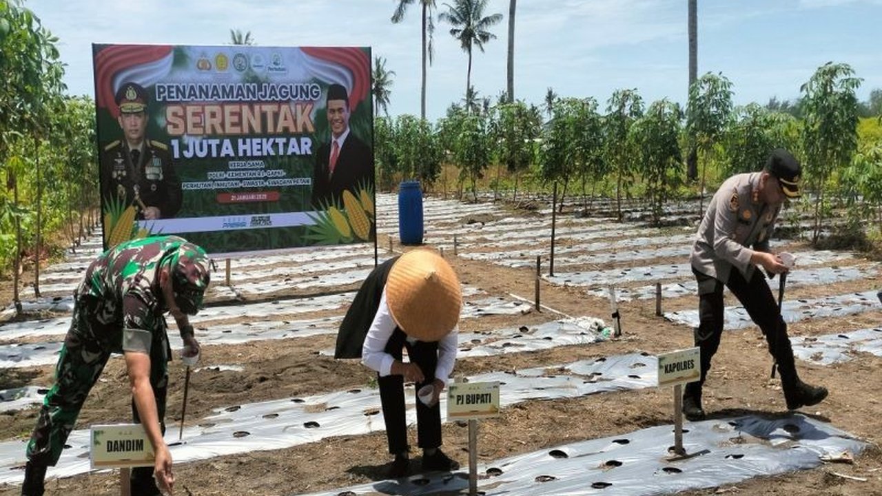 Polres Kulon Progo, bekerja sama dengan pemerintah setempat, menargetkan penanaman jagung seluas 15,9 hektare pada 2025 untuk mendukung program ketahanan pangan nasional dan kesejahteraan petani.