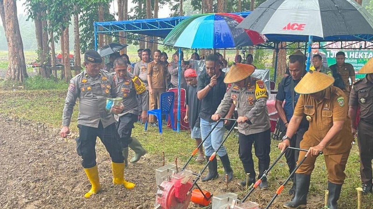 Polres Seram Bagian Barat (SBB) turut serta dalam penanaman jagung serentak nasional di Desa Hatusua, sebagai upaya mendukung program swasembada pangan pemerintah pada tahun 2025, sekaligus membantu perekonomian masyarakat setempat.