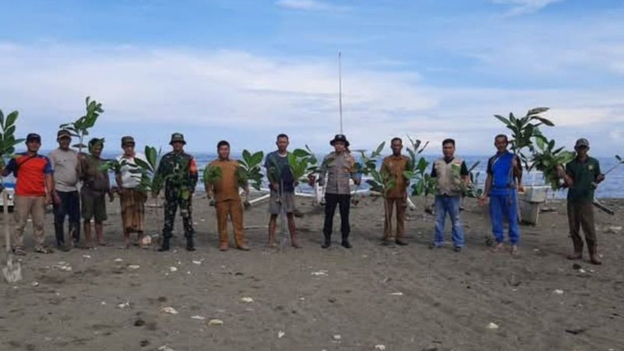 TNI Tanam Ratusan Pohon Ketapang Cegah Abrasi di Pasangkayu