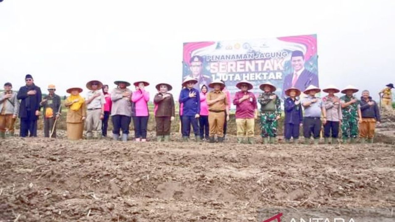 Polres Padang Panjang Tanam Jagung, Dukung Ketahanan Pangan Nasional