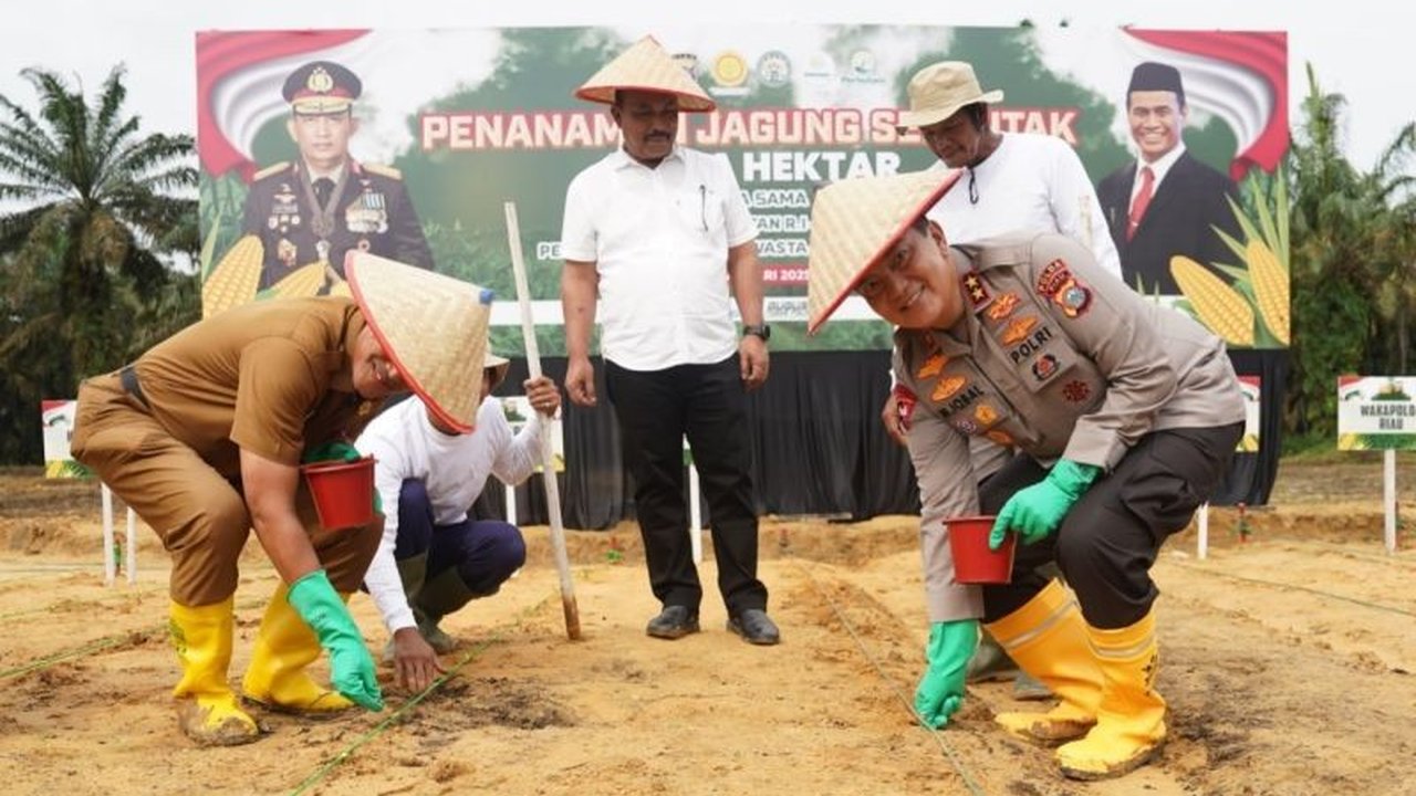 Polda Riau menargetkan penanaman jagung di lahan seluas 259,35 hektare di 12 kabupaten/kota sebagai bagian dari program nasional 1 juta hektare jagung untuk ketahanan pangan.