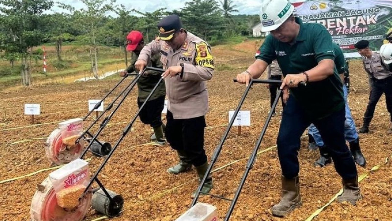 Astra Agro Lestari memulai penanaman jagung serentak di lahan sawit di berbagai wilayah Indonesia untuk mendukung swasembada pangan nasional dan cita-cita Indonesia sebagai lumbung pangan dunia 2045, melibatkan ribuan keluarga di sekitar perkebunan.