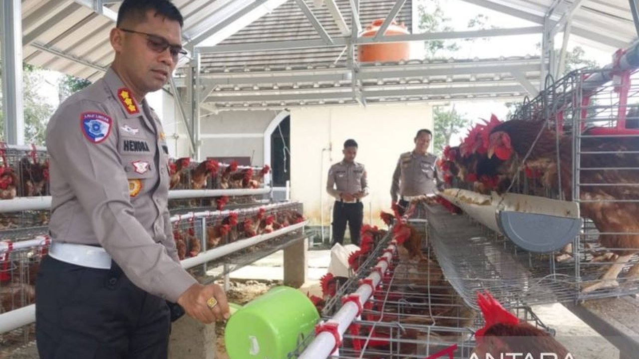 Kepolisian Daerah Kepulauan Bangka Belitung membagikan ratusan telur ayam hasil panen dari program ketahanan pangan mereka kepada warga sekitar, sebagai bentuk kepedulian dan upaya membantu mengatasi stunting.
