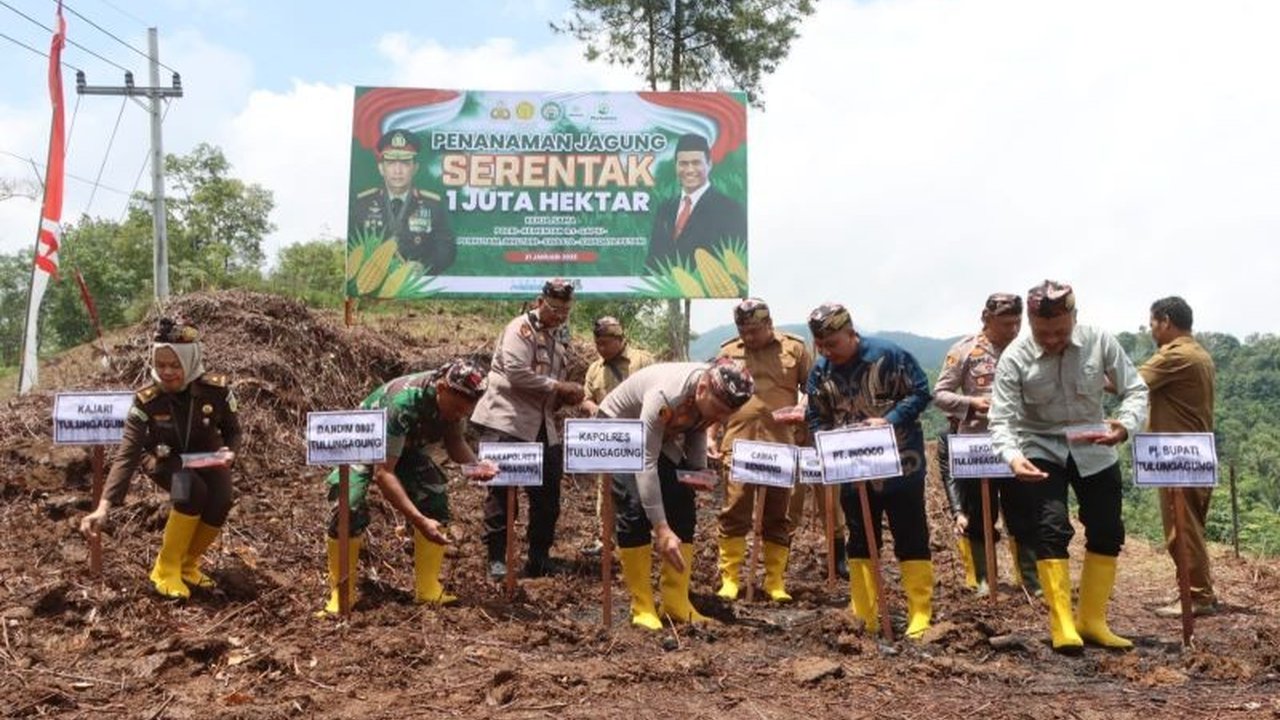 Polres Tulungagung berkolaborasi dengan pemerintah dan PT Indoco dalam gerakan tanam jagung di Tulungagung untuk mendukung swasembada pangan nasional dan meningkatkan kesejahteraan petani.