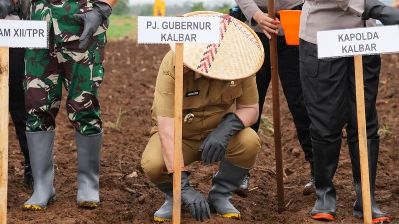 Kalimantan Barat menargetkan penanaman jagung seluas 9.121 hektare pada Januari 2025 untuk mendukung ketahanan pangan nasional, dengan melibatkan Polri, TNI, pemerintah daerah, dan berbagai pemangku kepentingan.