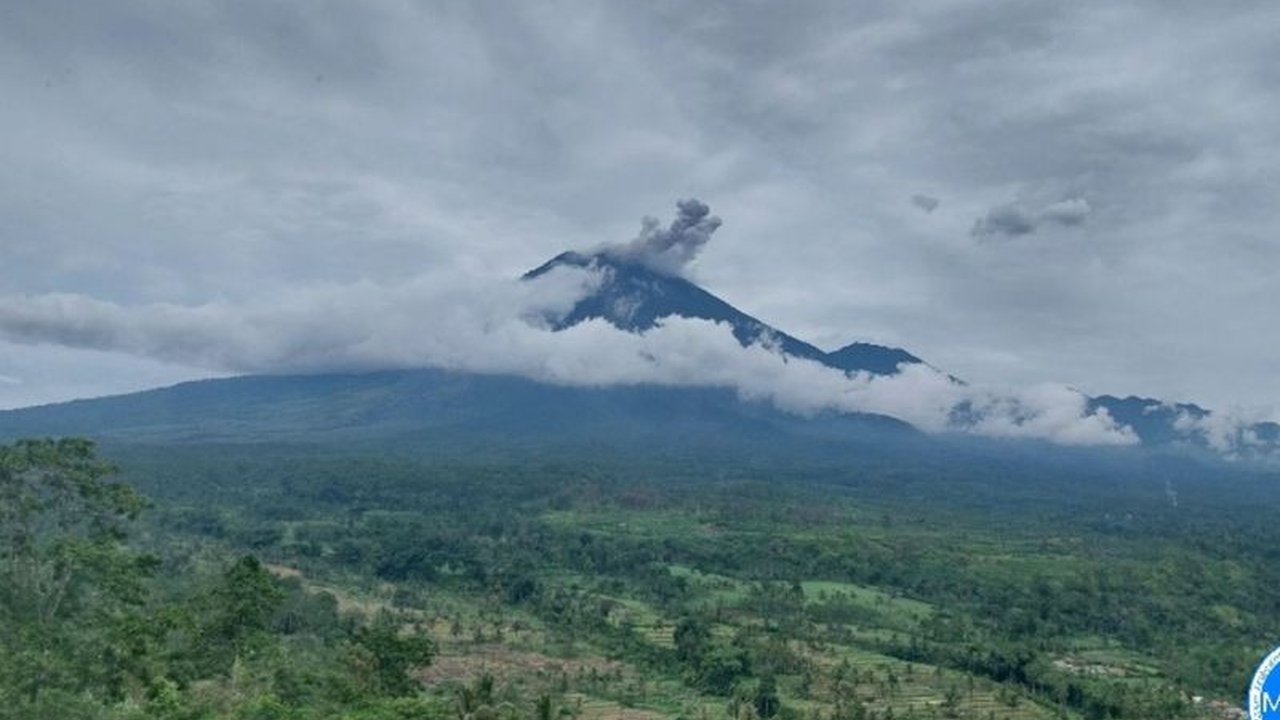 Gunung Semeru di Jawa Timur kembali erupsi dengan letusan mencapai 800 meter di atas puncak pada Rabu, 22 Januari 2025,  PVMBG mengimbau warga untuk tetap waspada dan menjauhi radius bahaya.