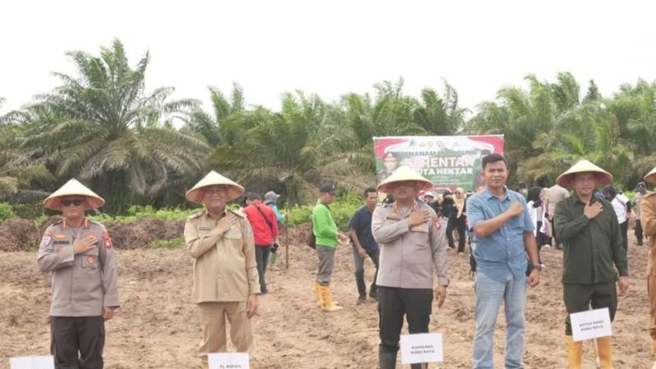 Pemerintah Kabupaten Kubu Raya, Kalimantan Barat, memanfaatkan 15,8 hektare lahan untuk mendukung program penanaman jagung serentak nasional, guna mencapai swasembada pangan 2025 dan membuka peluang ekspor.