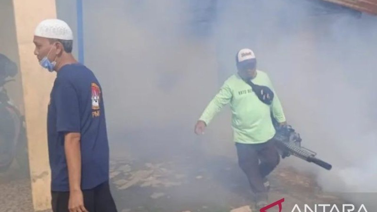 Waspada DBD di Palembang: 29 Kasus Tercatat hingga Pekan Ketiga Januari