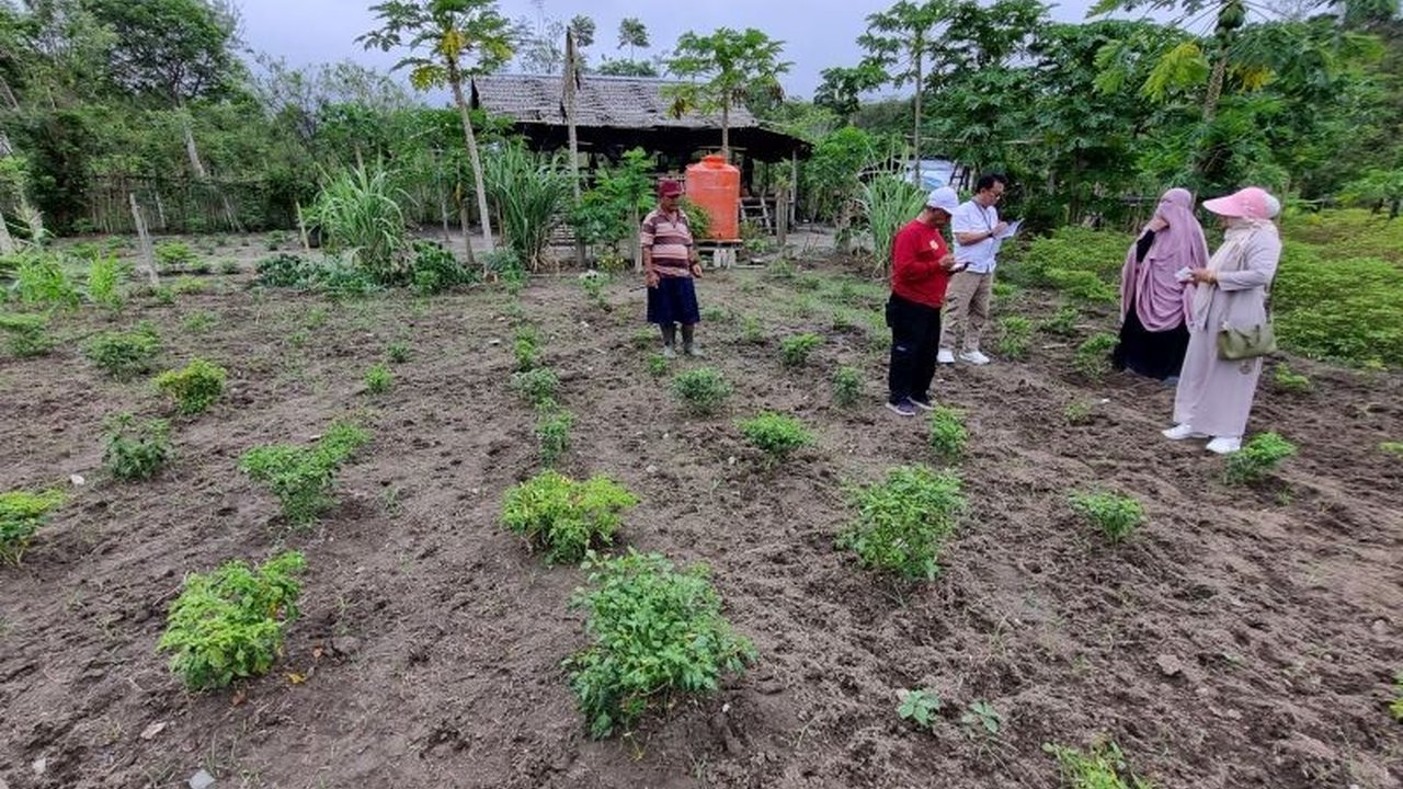 Pemerintah Kota Palu konsisten jalankan program Palu Mandiri Tangguh Pangan untuk kendalikan inflasi, terbukti efektif dengan panen raya cabai dan raihan TPID terbaik Sulteng 2024.