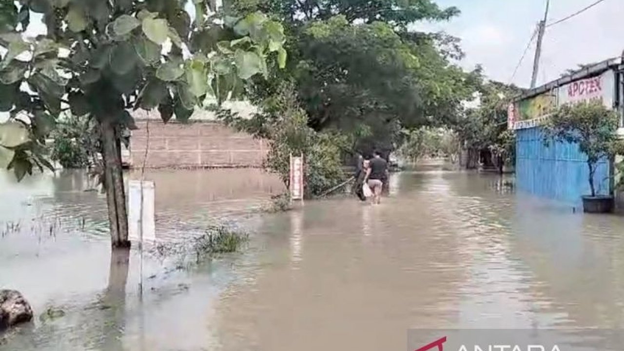 Banjir akibat meluapnya anak Sungai Bengawan Solo merendam 538 hektare sawah di 17 desa Sragen, Jawa Tengah,  membuat petani khawatir gagal panen meski ketinggian air mulai surut.