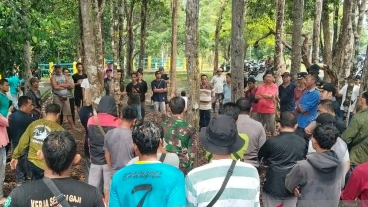 Di Mukomuko, Bengkulu, serangan harimau terhadap manusia dan ternak diduga disebabkan oleh kelangkaan mangsa akibat merebaknya penyakit ASF pada babi hutan, yang diperparah oleh alih fungsi hutan menjadi perkebunan sawit.