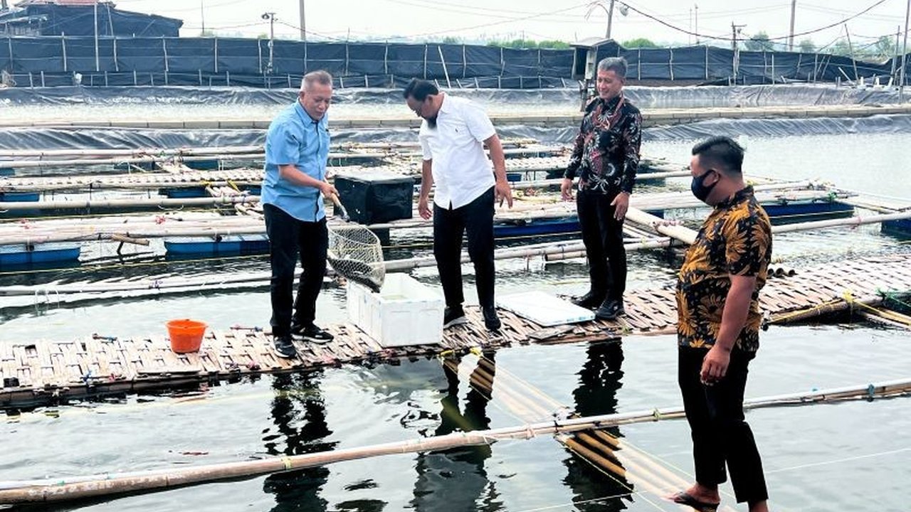 Wakil Menteri Koperasi mendukung peningkatan produktivitas Koperasi Mina Mambo Sekar Sejahtera di Bekasi, Jawa Barat, melalui modernisasi budidaya perikanan dan bantuan fasilitas pengolahan serta pemasaran.