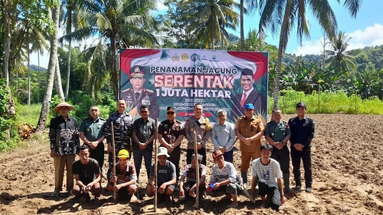Polres Bone Bolango, Gorontalo, menargetkan penanaman jagung serentak seluas 1821 hektare sebagai bagian dari program pemerintah untuk mendukung swasembada pangan nasional, dengan dukungan penuh dari pemerintah daerah setempat.
