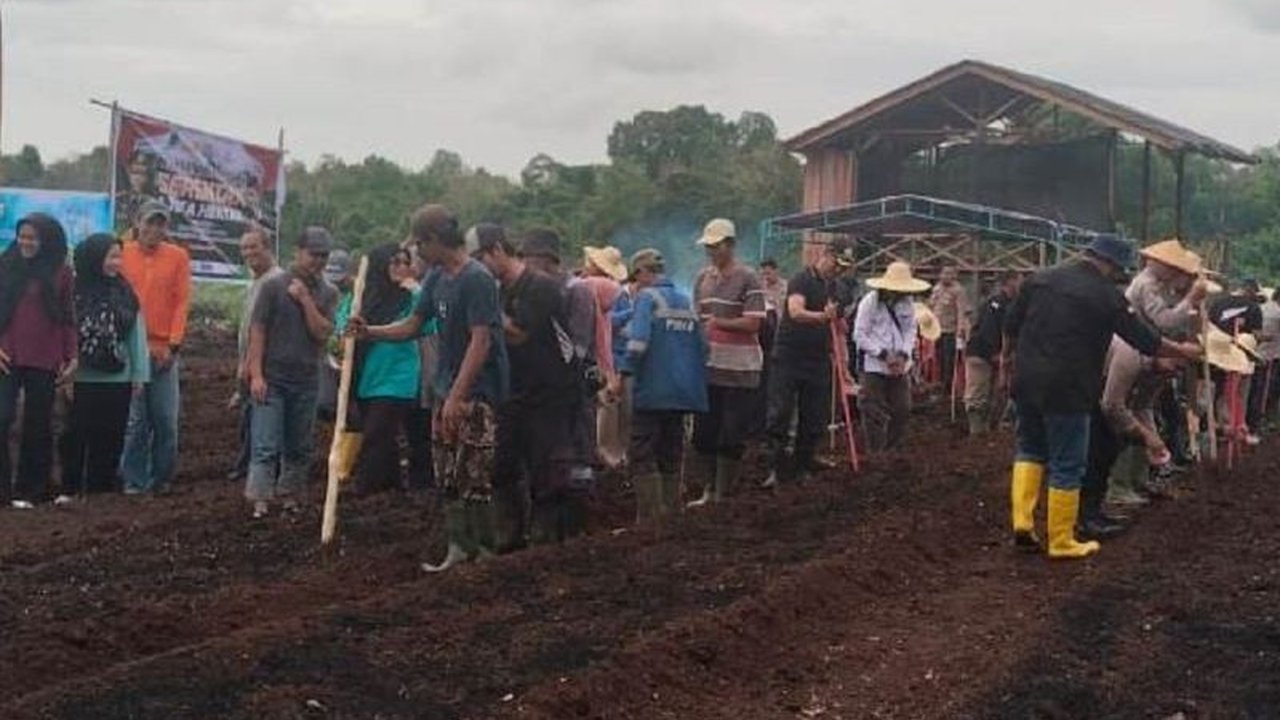 PT Timah dan Polsek Kundur Sukses Tanam Jagung, Dukung Ketahanan Pangan Nasional