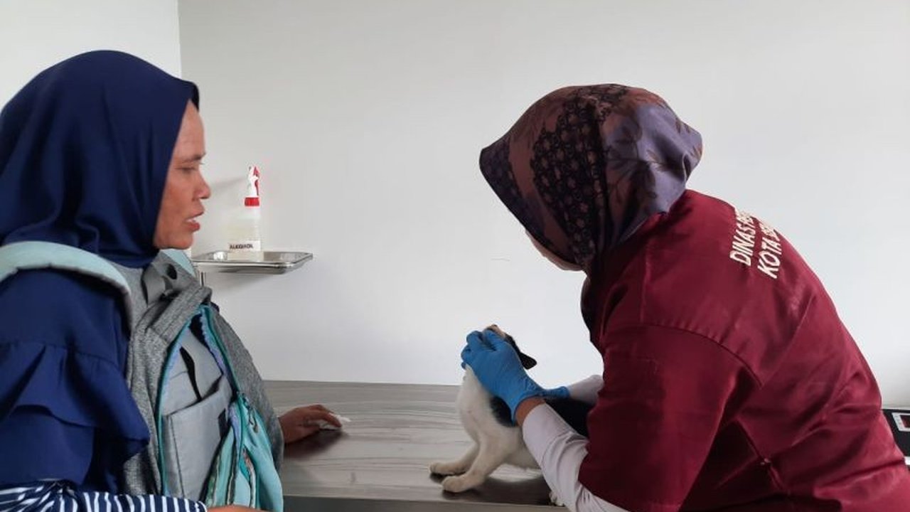 Semarang Sediakan Dua Klinik Hewan untuk Rawat Binatang Peliharaan