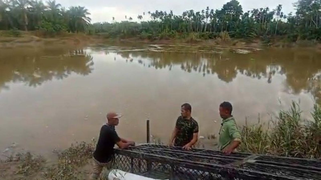 Balai Konservasi Sumber Daya Alam (BKSDA) Aceh memasang perangkap buaya di Sungai Gampong Cek Mbon, Aceh Timur, guna mencegah serangan buaya terhadap warga setelah adanya laporan serangan sebelumnya.