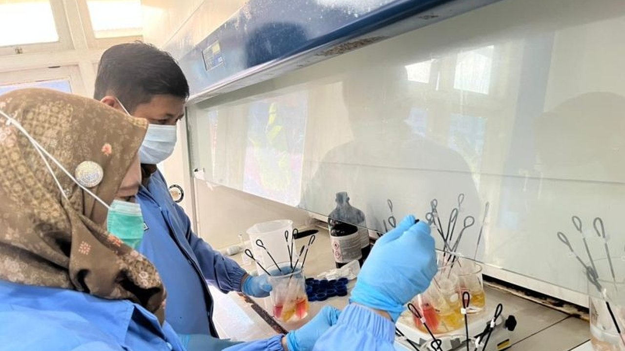 Kosmetik Klinik Kecantikan Aceh: Amankah? BBPOM Aceh Pastikan Standar Keamanan Terpenuhi