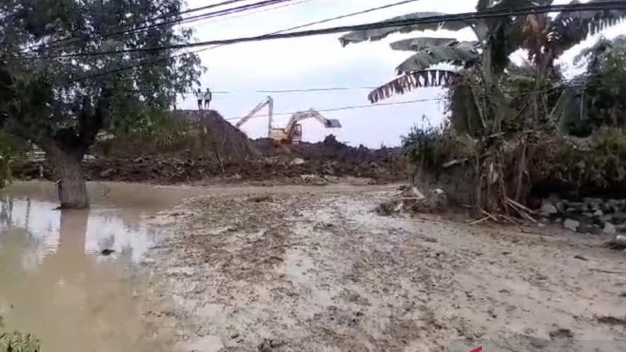 Balai Besar Wilayah Sungai (BBWS) Pemali Juana langsung memperbaiki tanggul Sungai Tuntang yang jebol di Demak, Jawa Tengah, setelah mengakibatkan banjir di Grobogan dan Demak, dengan koordinasi bersama BNPB dan Pemkab setempat.