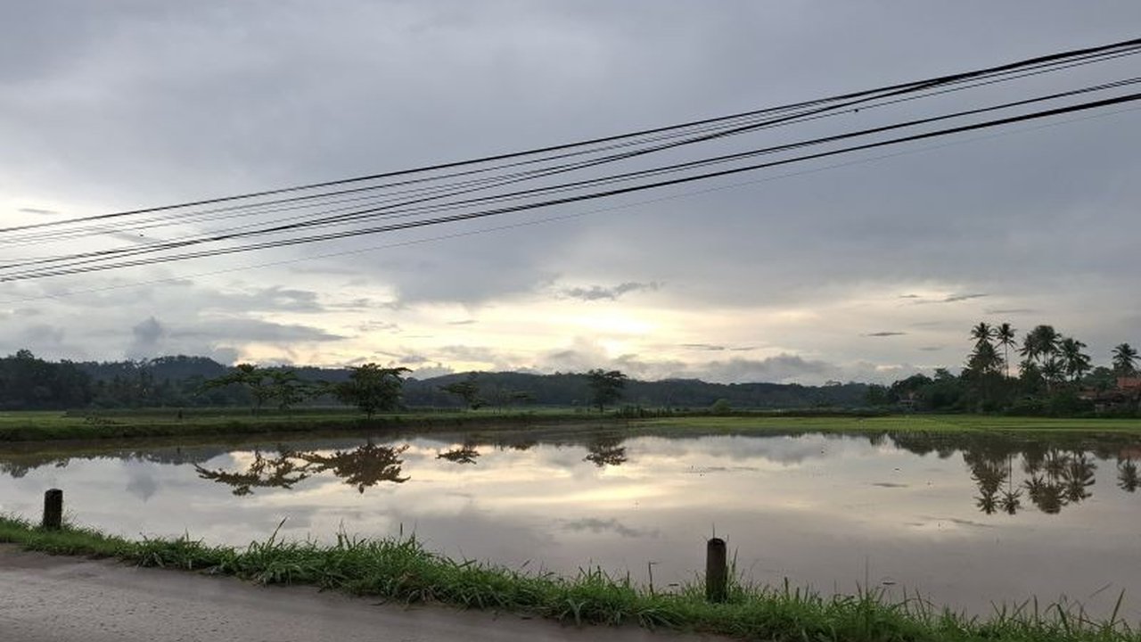 Banjir di empat kabupaten Lampung pada pertengahan Januari 2024 mengakibatkan kerusakan ribuan hektare lahan pertanian, terutama sawah, dengan dampak terparah di Lampung Timur.