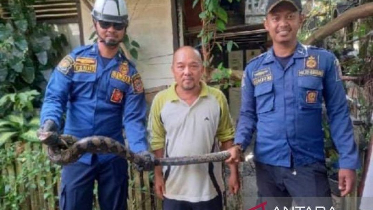 Kalsel Siapkan Layanan Tanggap Darurat Hewan Melata Saat Banjir