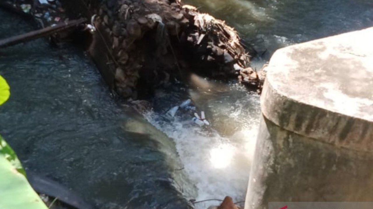 Petani di Desa Penarik, Mukomuko, Bengkulu, berinisiatif memperbaiki bendungan irigasi yang rusak akibat banjir dengan swadaya, sementara pemerintah daerah masih mengupayakan anggaran perbaikan.