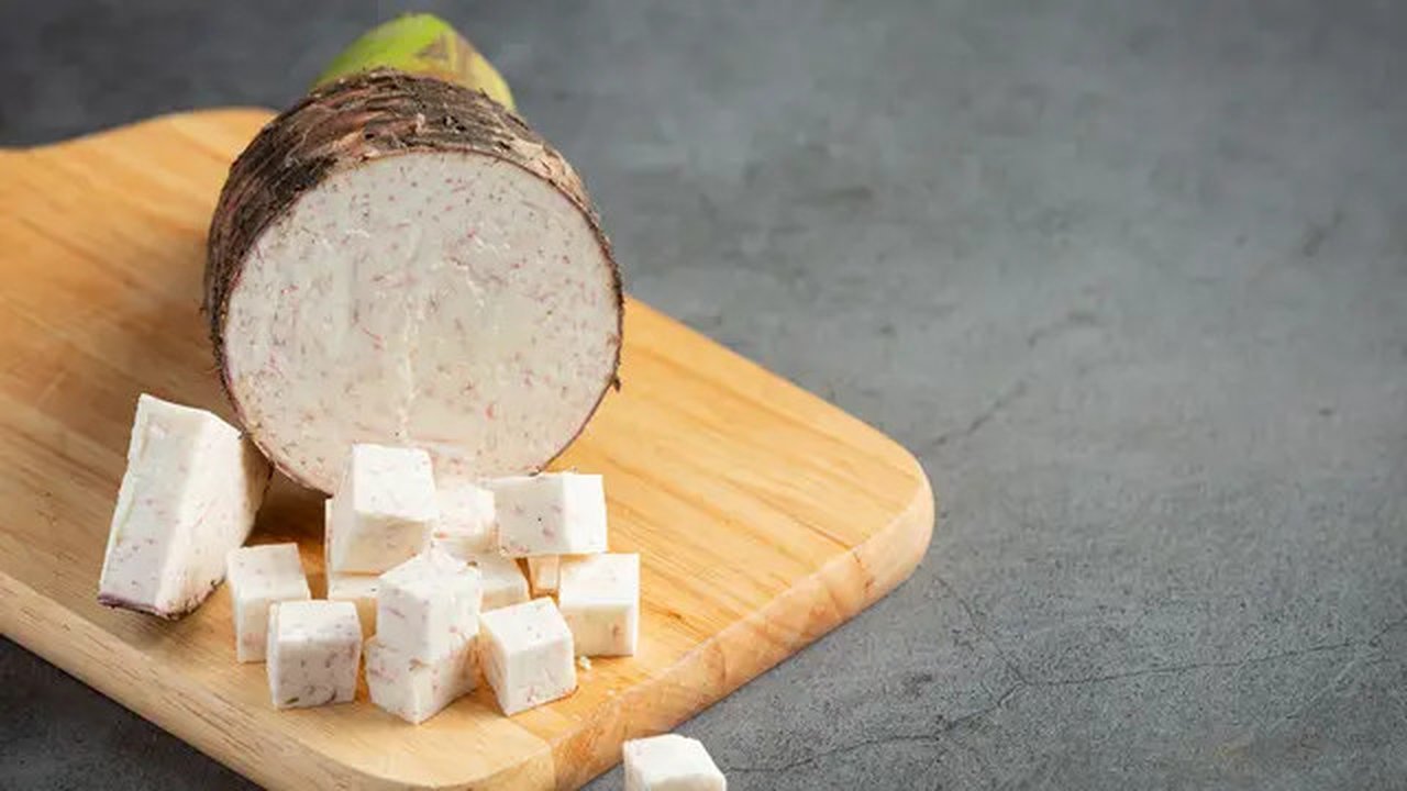 Ilustrasi talas (sumber: freepik)