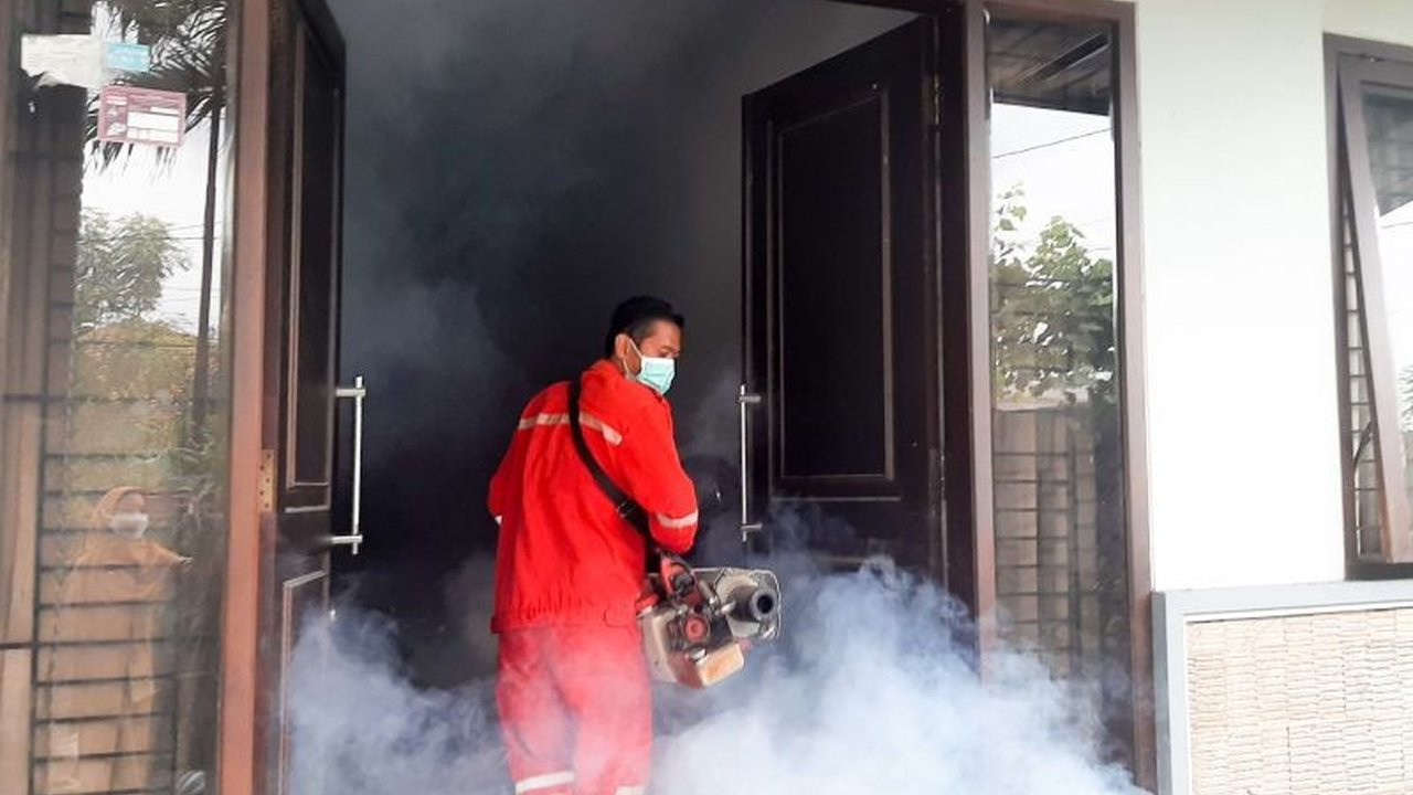 Dinas Kesehatan Situbondo mencatat 16 kasus Demam Berdarah Dengue (DBD) pada awal Januari 2025, menurun dibandingkan periode yang sama tahun sebelumnya, berkat peningkatan kesadaran masyarakat akan kebersihan lingkungan.