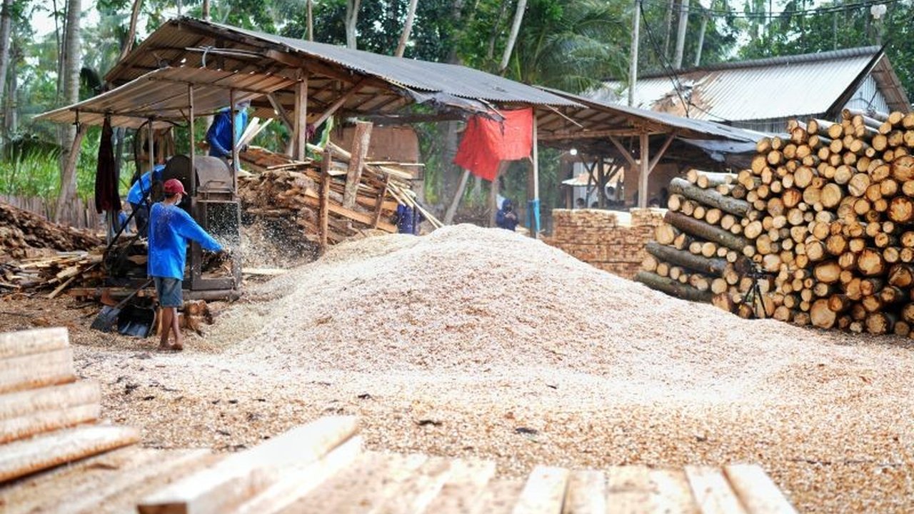 PLN Energi Primer Indonesia (PLN EPI) akan memasok 1,6 juta ton biomassa untuk program co-firing di 46 PLTU pada 2024, meningkat dari 1 juta ton di 2023, dan diproyeksikan naik dua kali lipat di 2025.