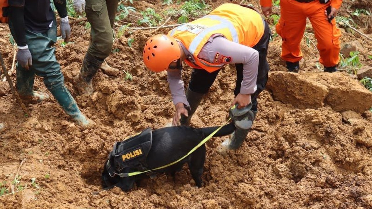 Tim K-9 Polda Jawa Tengah berhasil menemukan jasad bayi 5 bulan yang tertimbun longsor di Pekalongan, Jawa Tengah, menambah jumlah korban meninggal menjadi 21 orang, sementara pencarian masih berlanjut.