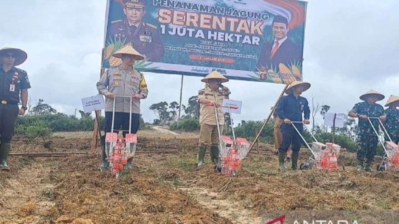 Pemerintah Kabupaten Gunung Mas, Kalimantan Tengah menargetkan penanaman 31 ribu hektare jagung untuk mendukung ketahanan pangan nasional, melibatkan berbagai pihak termasuk Polri dan perusahaan swasta.