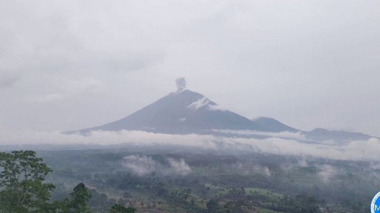 Gunung Semeru kembali erupsi Kamis sore dengan tinggi letusan 800 meter,  namun status gunung masih Waspada dan aktivitas warga di lereng gunung tidak terganggu.