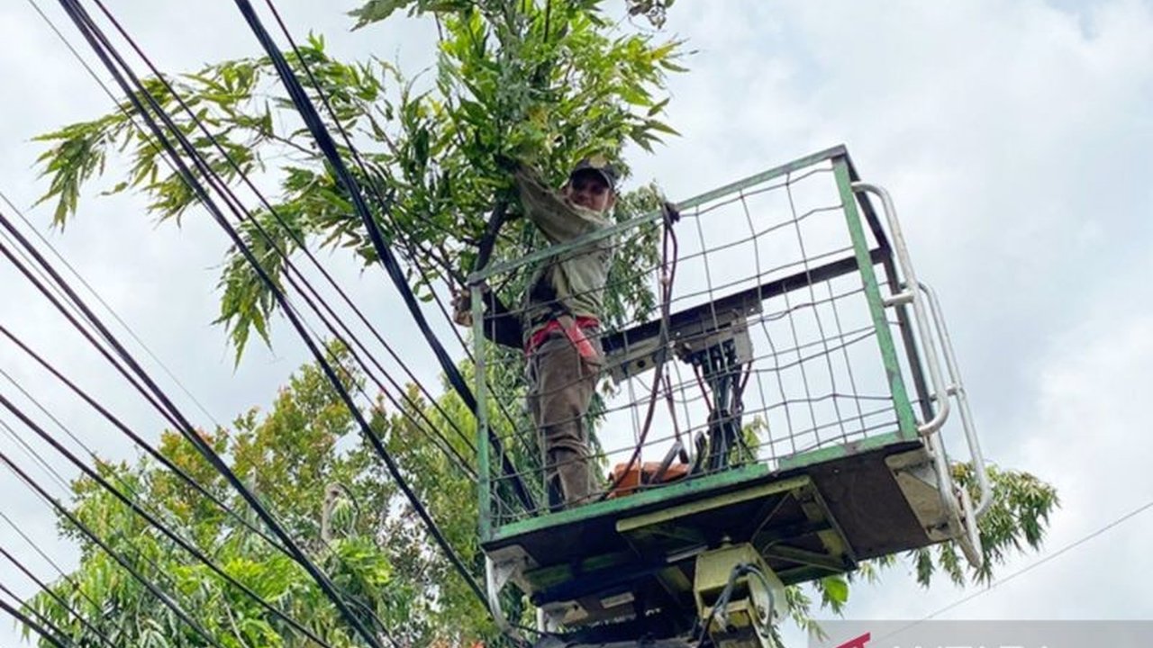 Pemkot Jaktim memangkas 78 pohon di Matraman untuk mencegah pohon tumbang karena hujan deras dan angin kencang, sekaligus meningkatkan penerangan jalan.