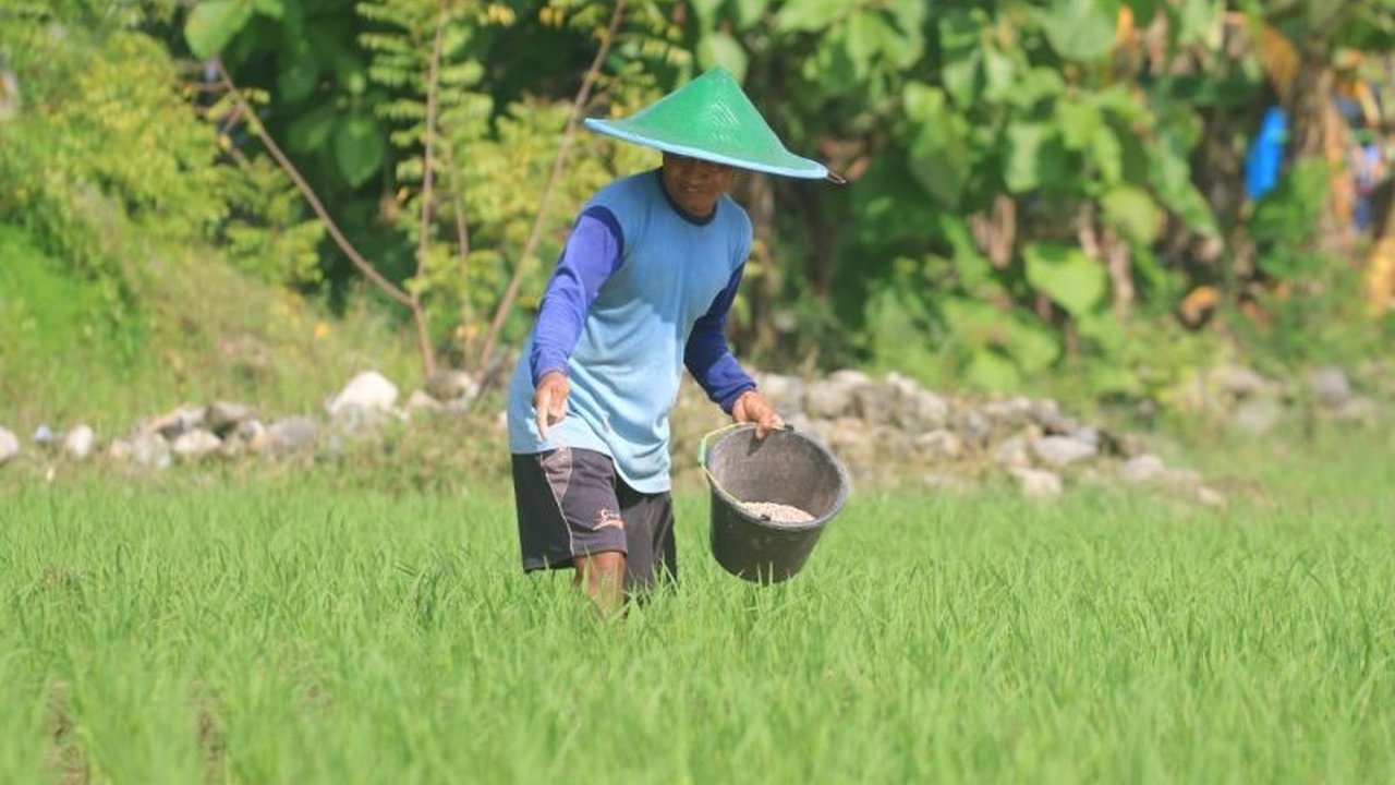 Alokasi pupuk subsidi di Ponorogo tahun 2024 meningkat drastis menjadi 57.331 ton, hampir dua kali lipat dari tahun sebelumnya, meskipun masih di bawah usulan awal, untuk mendukung swasembada pangan.