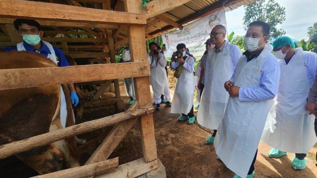 Kementerian Pertanian (Kementan) menyiapkan 4 juta dosis vaksin PMK untuk seluruh Indonesia, termasuk Garut, guna mencegah penyebaran lebih luas dan memastikan kelancaran perayaan Idul Fitri dan Idul Adha.