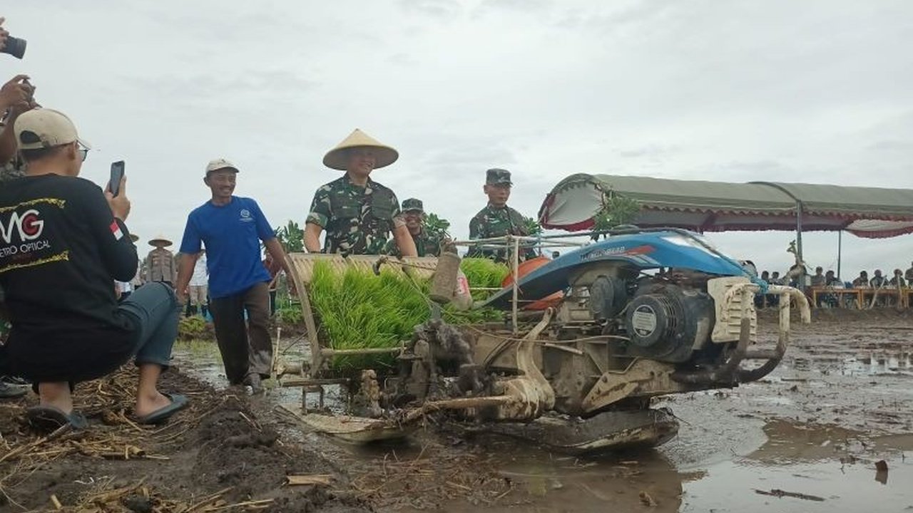 TNI di Tulungagung mengembangkan demplot padi seluas lebih dari 35 ribu hektare untuk mendukung program swasembada pangan nasional, dengan target produksi beras 300 ribu ton per tahun.