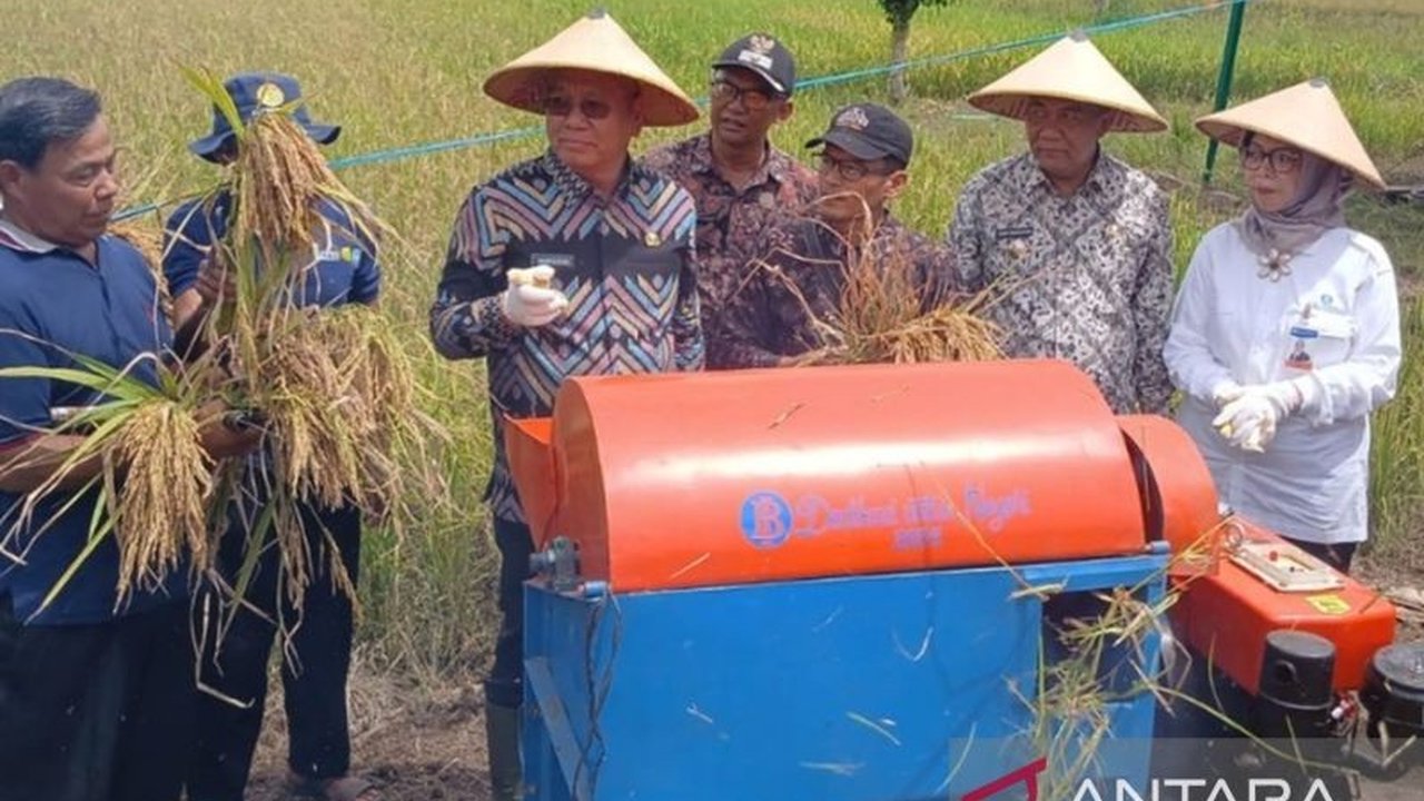 BI Dukung Produktivitas Pertanian Kalbar Lewat Program Strategis