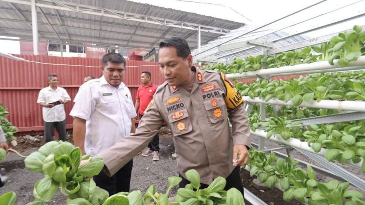 Polres Ternate dan Dinas Pertanian Kota Ternate berhasil panen raya tanaman hidroponik, menghasilkan 703 tanaman pakcoy dan mendorong inovasi pertanian perkotaan untuk mendukung ketahanan pangan nasional.