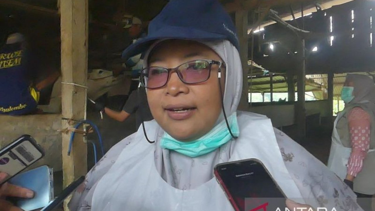 Temanggung Terima 500 Dosis Vaksin PMK dari Pemprov Jateng