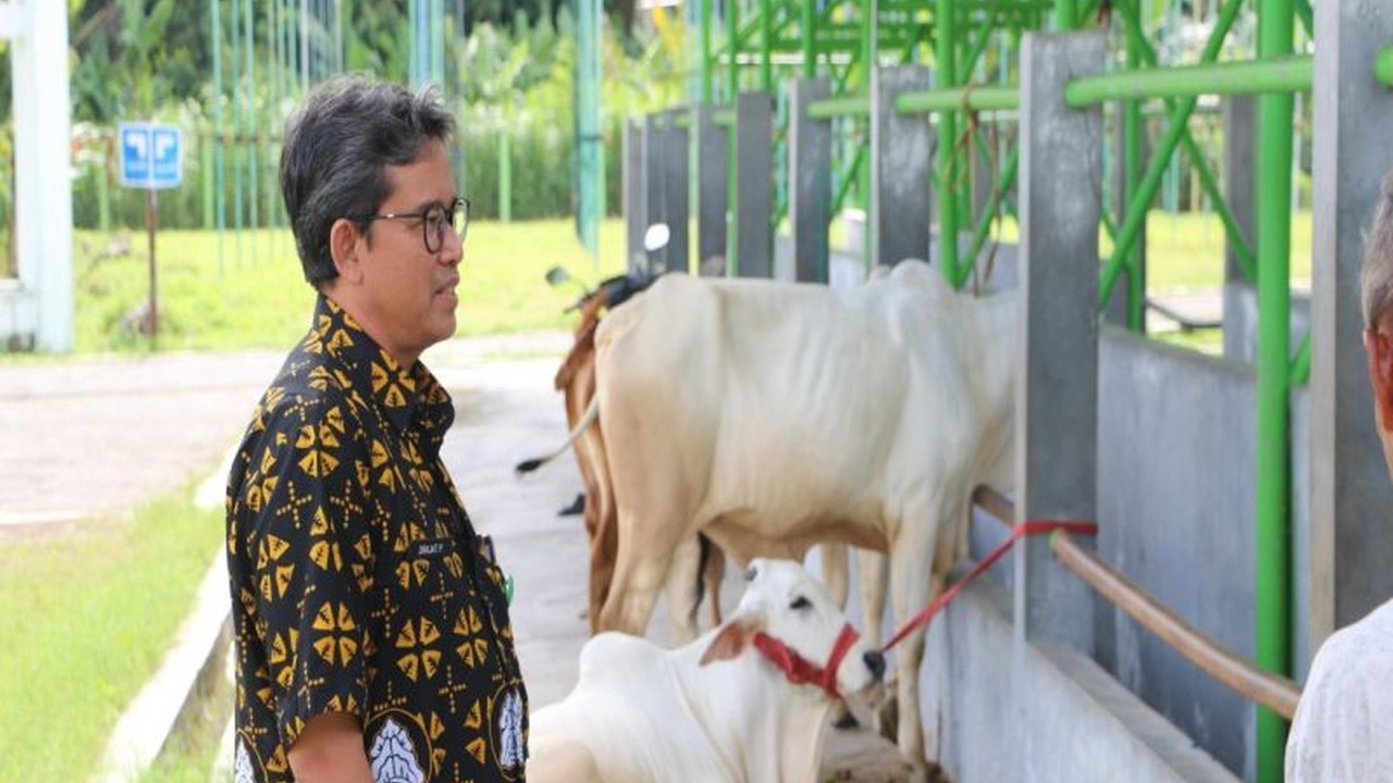 Pasar Hewan Terpadu Pengasih, Kulon Progo ditutup selama 14 hari mulai 25 Januari 2025 untuk mencegah penyebaran PMK, disertai upaya vaksinasi dan disinfeksi.