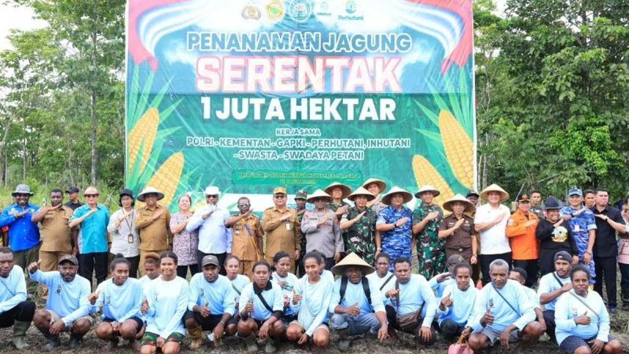 Polda Papua menanam jagung seluas 22,5 hektar di beberapa wilayah, guna mendukung ketahanan pangan di Papua dan berkolaborasi dengan berbagai pihak untuk menjamin keberhasilan program.
