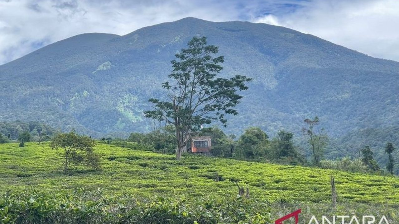 Kecamatan Sukabumi, Kabupaten Sukabumi, Jawa Barat, mengoptimalkan sektor pariwisata dan pertanian untuk meningkatkan pendapatan asli daerah (PAD) karena memiliki potensi sumber daya alam yang melimpah.