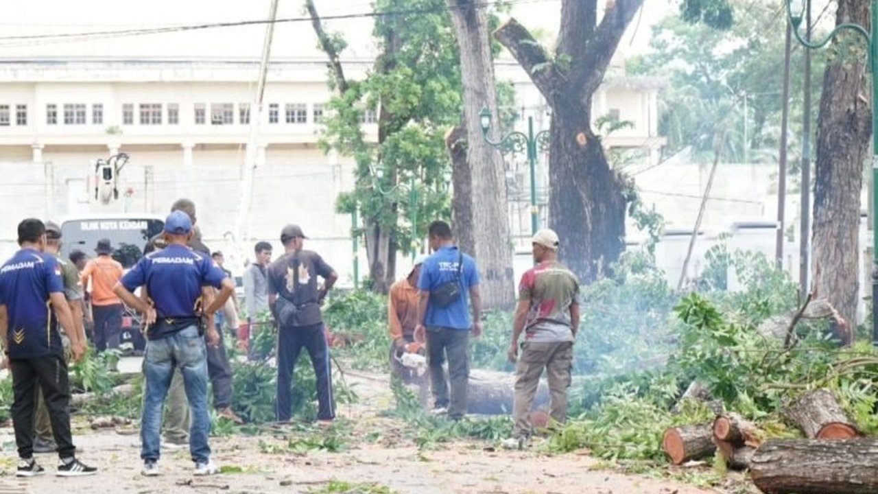 Pemerintah Kota Kendari memangkas pohon-pohon rawan tumbang di sejumlah ruas jalan vital untuk mencegah kecelakaan dan memastikan keamanan warga, khususnya selama musim hujan.