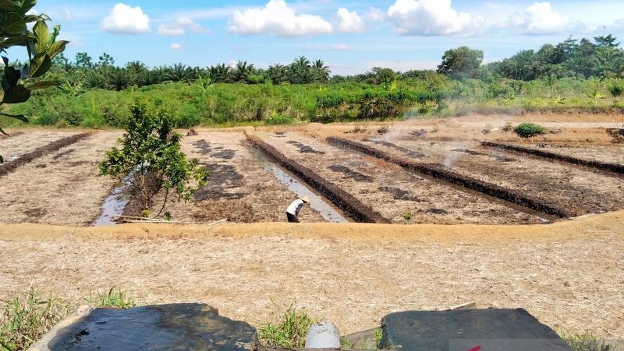 Dinas Pertanian Mukomuko akan mensosialisasikan program cetak sawah baru seluas 2000 hektare dari Kementerian Pertanian kepada kelompok tani di beberapa kecamatan, guna meningkatkan produktivitas pertanian di daerah tersebut.