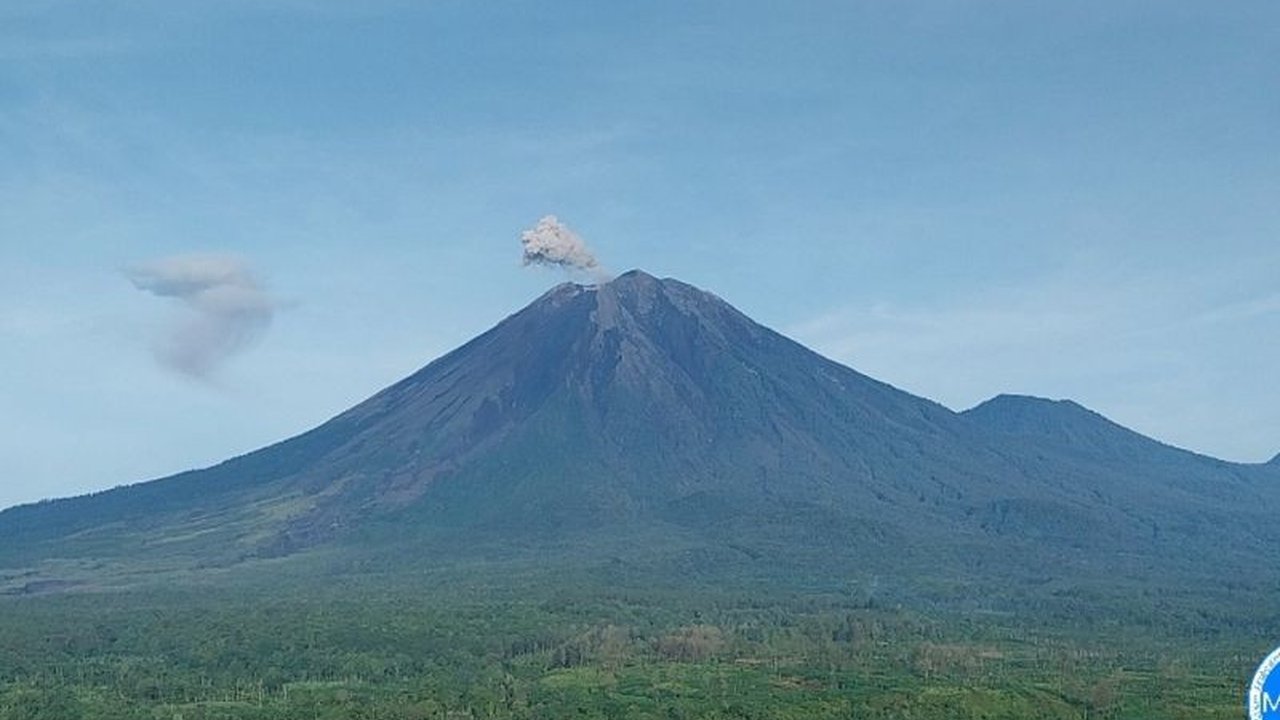 Gunung Semeru di Lumajang, Jawa Timur mengalami 10 kali erupsi pada Sabtu, 25 Januari 2025, dengan tinggi letusan hingga 1 kilometer; status gunung tetap waspada dengan sejumlah rekomendasi dari PVMBG.