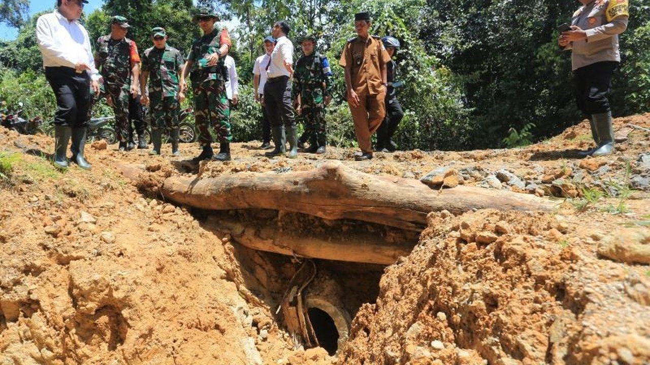 TNI dan Food Estate: Sinergi untuk Ketahanan Pangan Nasional