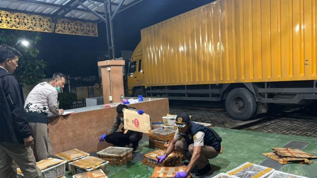 Polres Lampung Selatan dan Karantina Lampung menggagalkan penyelundupan 444 burung ilegal di Pelabuhan Bakauheni pada Jumat dini hari, mengamankan dua pelaku dan berbagai barang bukti.