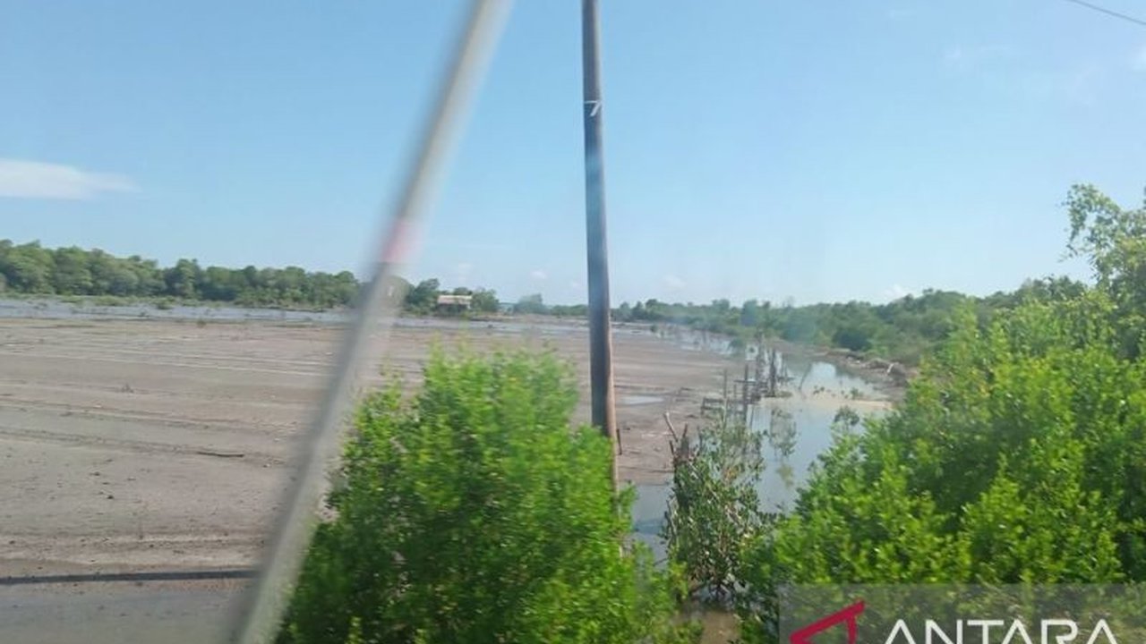 Kepolisian Resort Maros tengah menyelidiki perusakan enam hektar kawasan mangrove di Pantai Kuricaddi, Marusu, yang diduga dialihfungsikan menjadi lahan tambak, dengan terlapor AM yang mengakui perbuatannya.