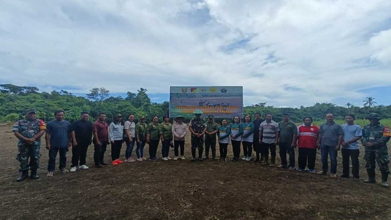 Kodim 1312/Talaud bersama masyarakat menanam 17 hektar padi ladang di Talaud, Sulawesi Utara, sebagai upaya mendukung program swasembada pangan nasional dan meningkatkan perekonomian petani setempat.