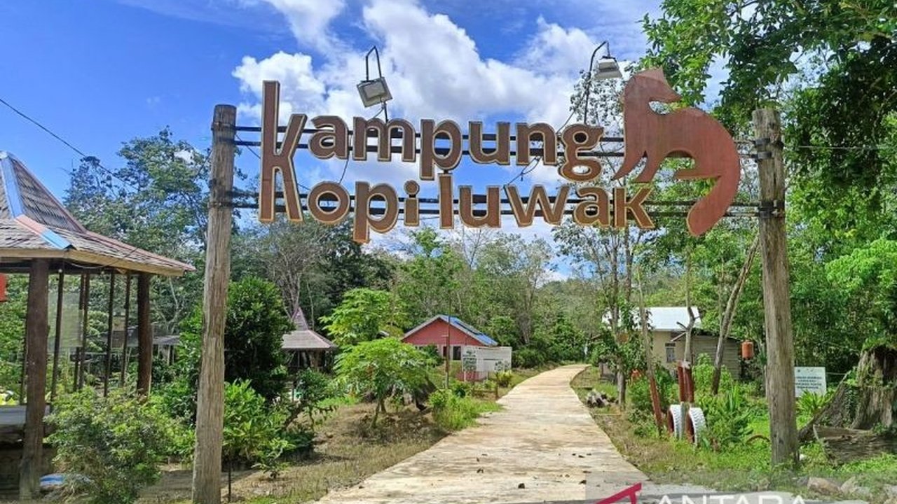 Kampung Kopi Luwak di Kutai Kartanegara, Kalimantan Timur, sukses mengembangkan kopi liberika dengan proses alami dan menjadi destinasi agrowisata yang meningkatkan perekonomian lokal dan terkenal hingga mancanegara.